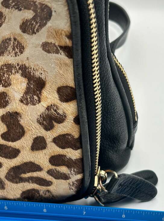 Margot Black Pebbled Leather and Leopard Calf Hair Mini Backpack main image 6
